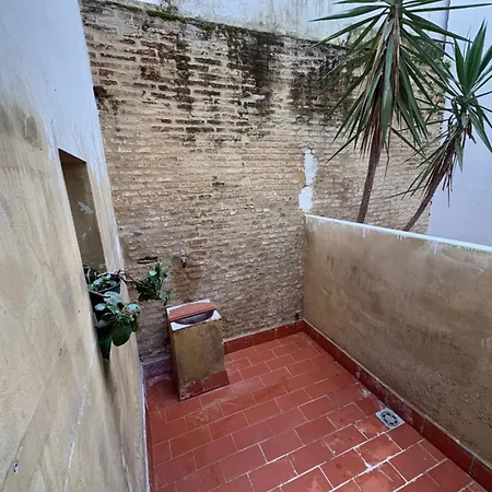 Magallanes 8 - Loft B - Triana - Sevilla